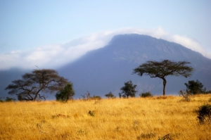 Kenia Safari mit kombinierten Badeurlaub-natuerlich-afrika.reisen