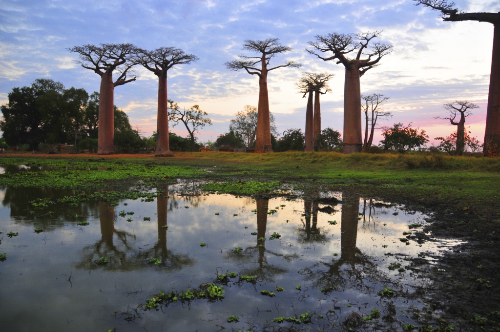 Madagaskar Reisen mit natuerlich-afrika.reisen