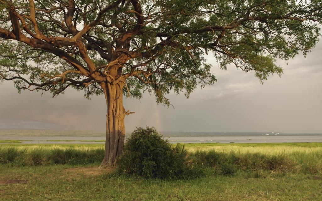 Uganda Ruanda Rundreise -Lake Albert