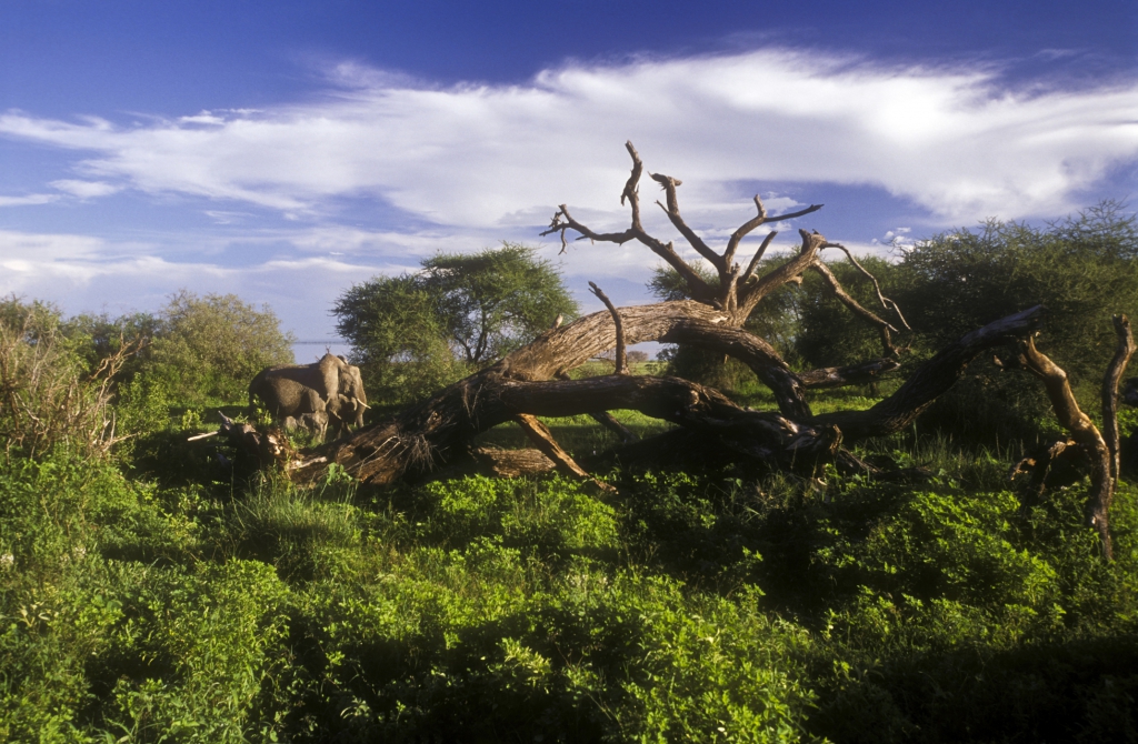 mit touring-afrika- Afrika Reisen