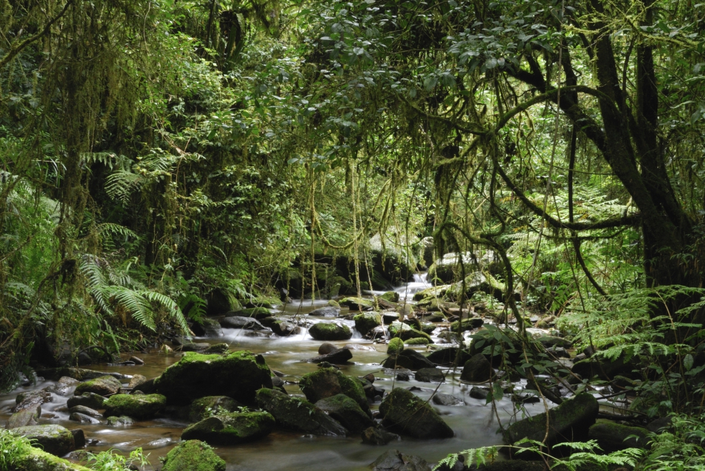 Erlebnisreise Madagaskar-Reisebericht Madagaskar