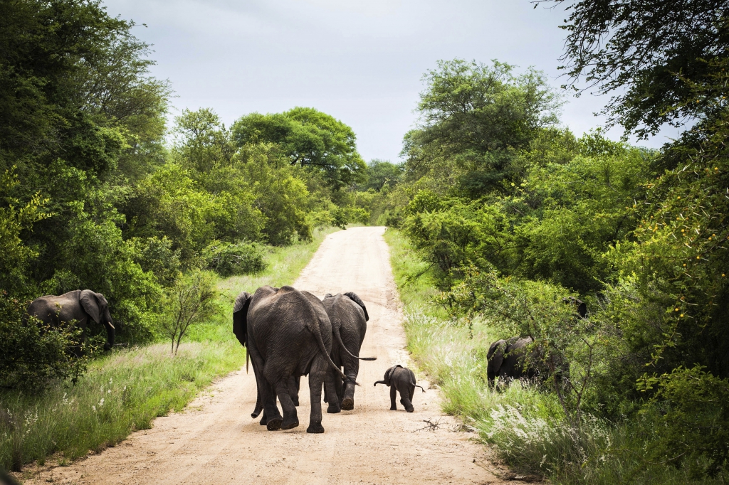 Südafrika Rundreise - mit natuerlich-afrika.reisen