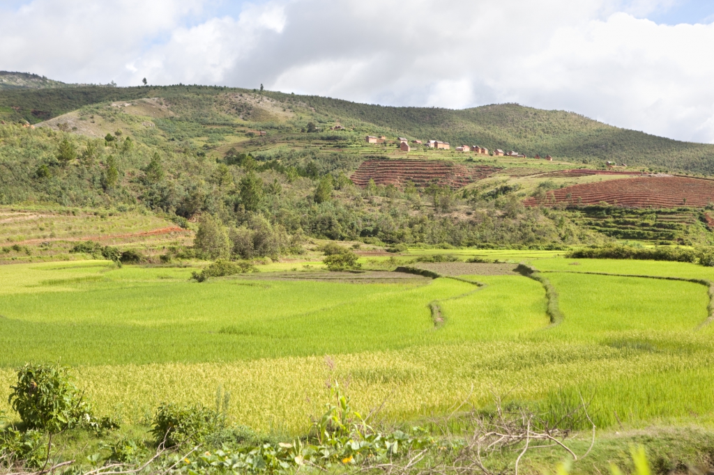 Erlebnisreise Madagaskar- Madagaskar Reisen mit natuerlich-afrika.reisen
