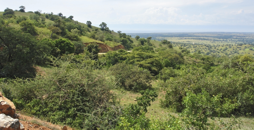 Uganda Ruanda Rundreise mit Touring Afrika