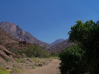Namibia - Reisen - Brandberg
