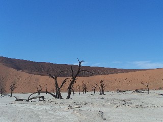 Sossussvlei - Namibia - Reise