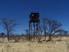 Namibia - Reise - Wildtierbeobachtung