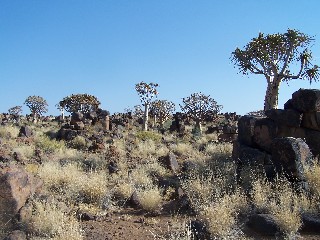 Reisebericht - Namibia - Rundreise