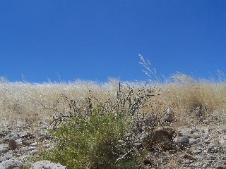 Natur - Namibia - Reisen
