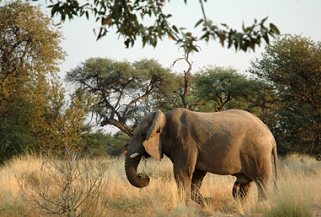 Namibia - Reisen - Reisebericht