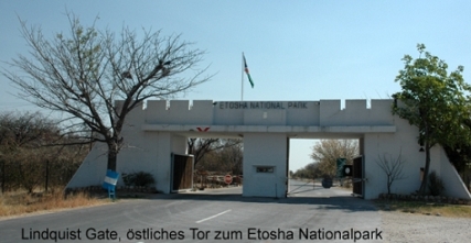 Namibia - Reisen - Etosha Nationalpark